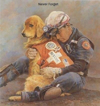 Major Tracey A. Stark, CAP's album, Mobile Uploads