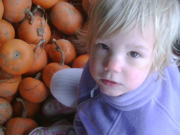 Heather Barger's album, Pumkin Patch