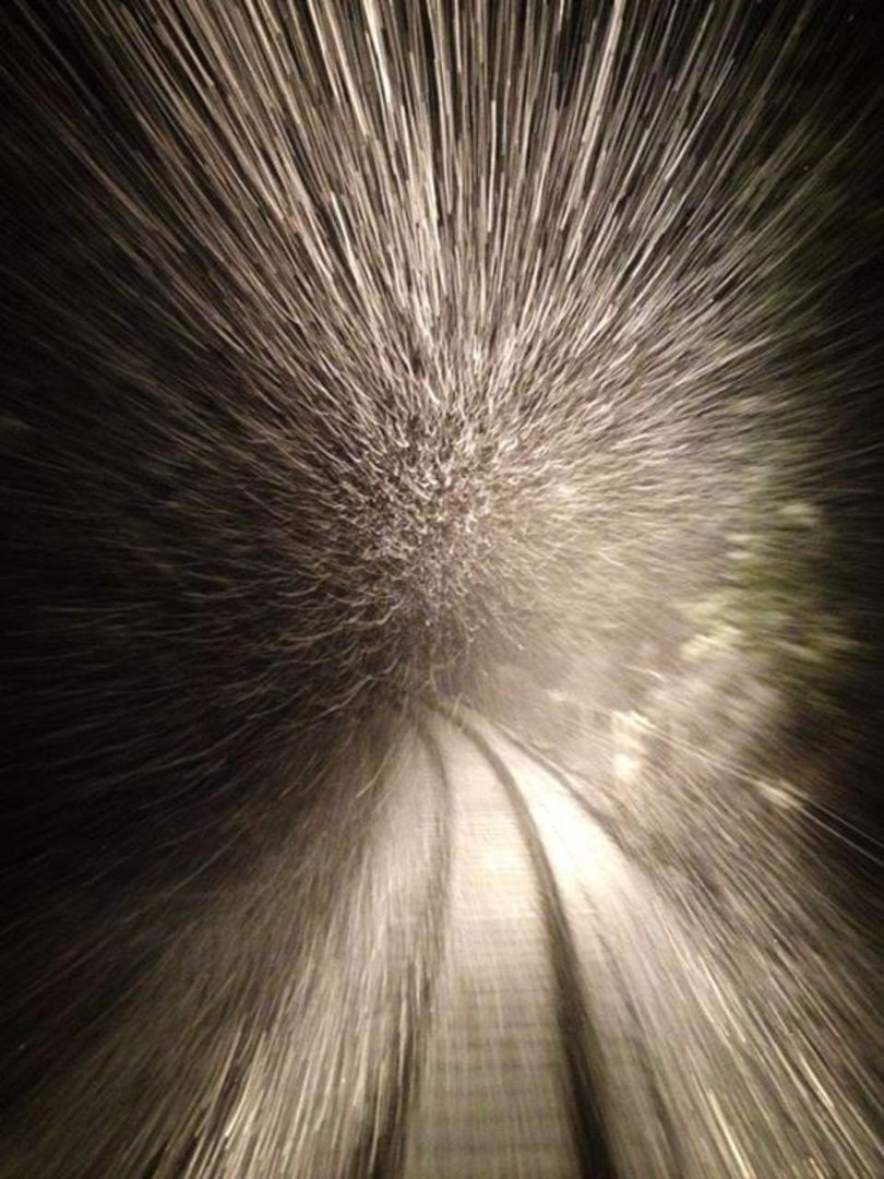 Greg Boam's album, Mobile Uploads