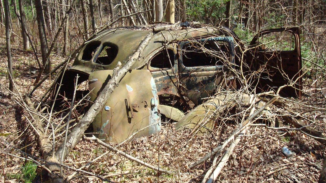 Chris Cunningham's album, 'Rustic' Scenes on a Recent Hike
