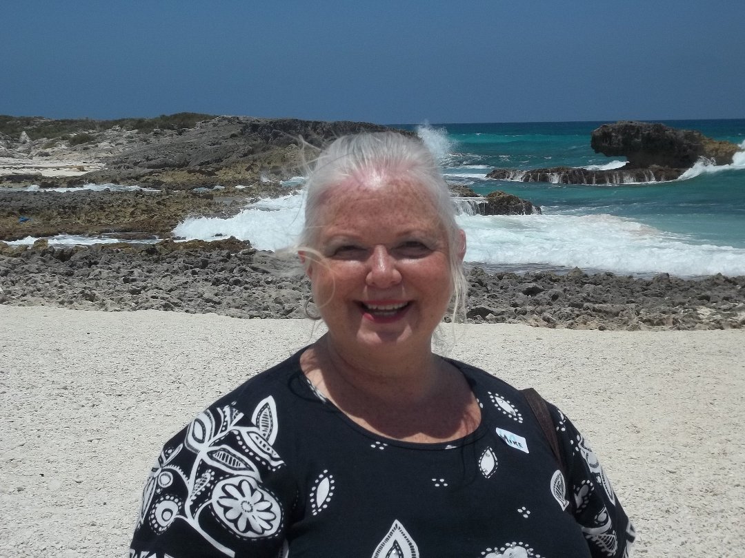Barbara Sisk's album, Profile Pictures