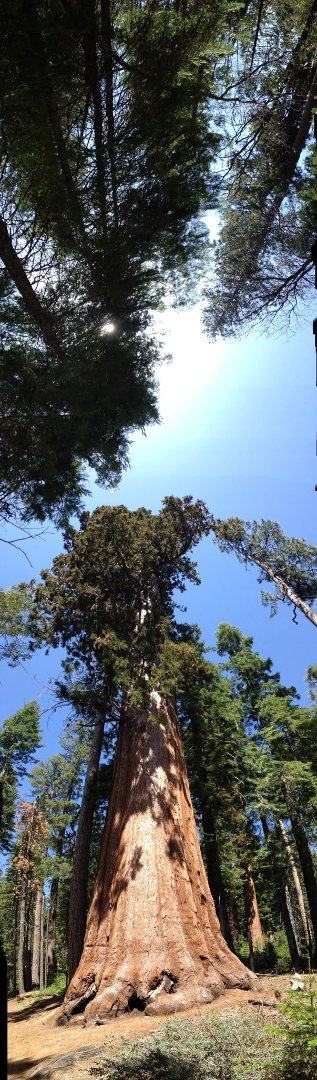 David Korba's album, iPhoto Photos