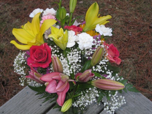 Shelley Bloom's album, Timeline Photos