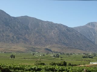 Tony Crotinger's album, Trip to Oudsthoorn