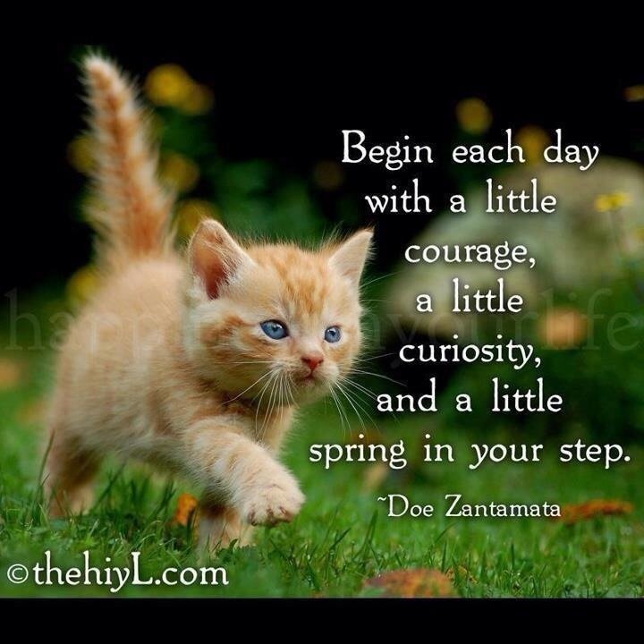 joy catron's album, Mobile Uploads