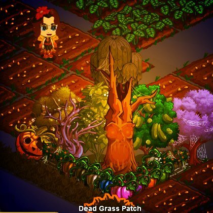 Barbara Truffa's album, FarmVille Photos