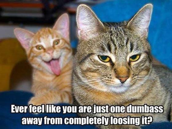 Tom Holt's album, Timeline Photos