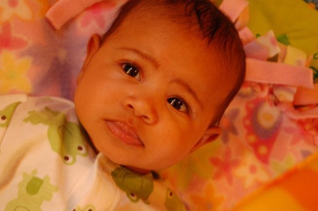 David Williams' album, December 19, 2011