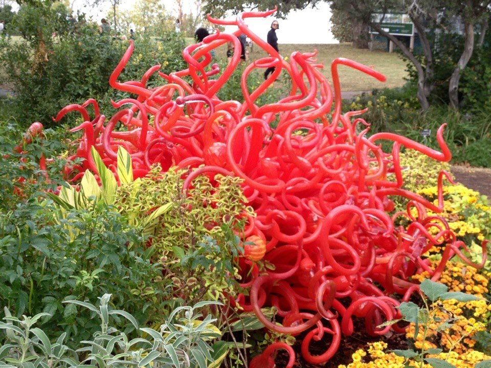 David Howerton's album, Chihuly Glass at Dallas Arboretum