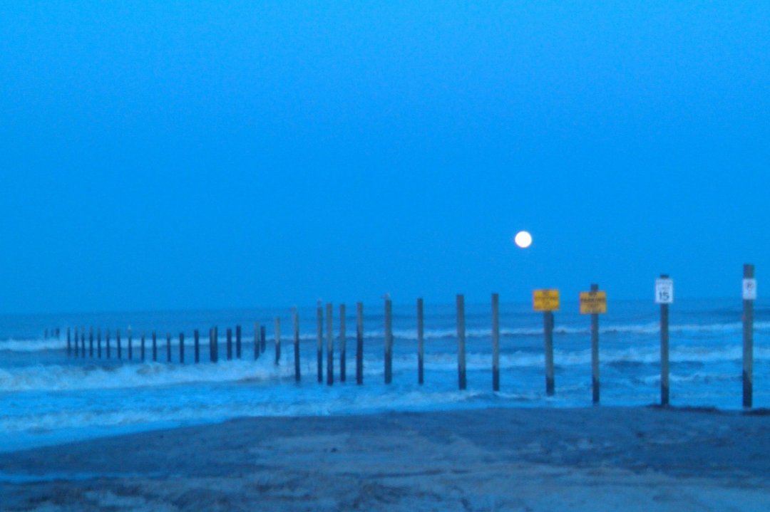 Mark Pozza's album, Random Pics