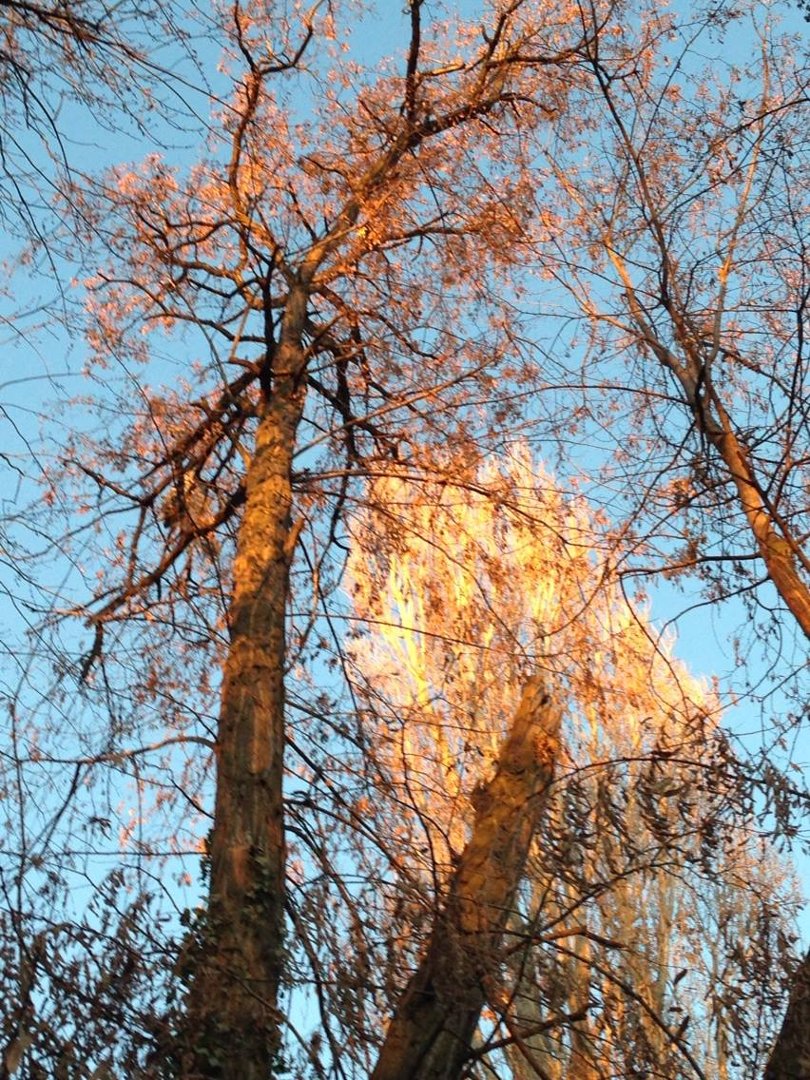 James Hackett's album, iOS Photos
