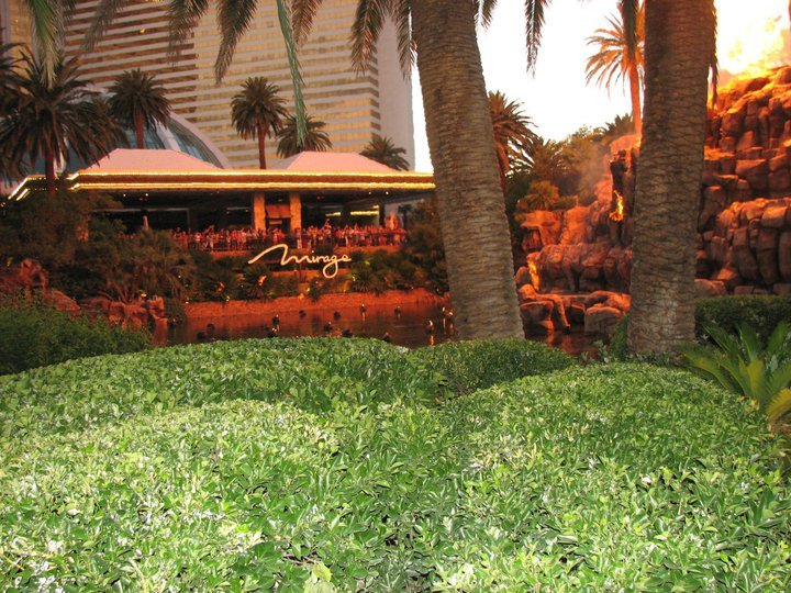 Edward Brenner's album, las vegas 2010
