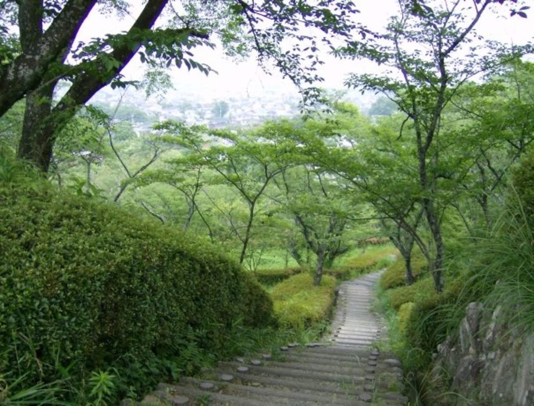 Robert Coats' album, Coats Family in Japan (2007-2008)
