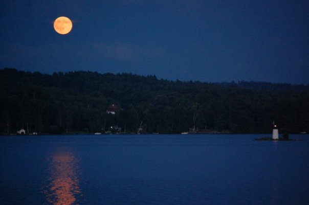 David Meserve's album, The View from "Camp Dave"
