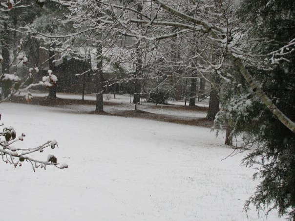 Lessie Gray's album, snow pictures