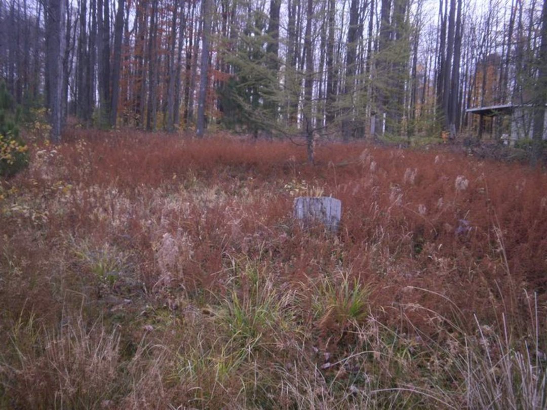 Laura Vickers' album, Potter Fall 2010