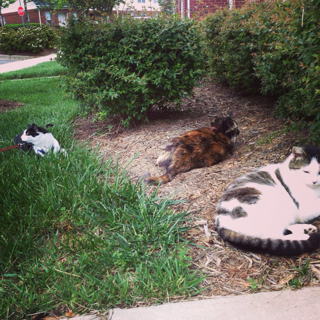 John Clark's album, Instagram Photos