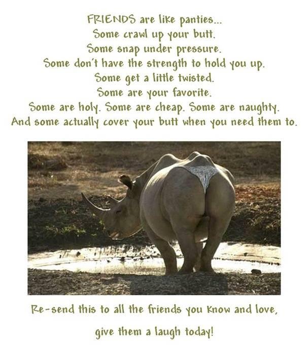 Jim Wilson's album, Timeline Photos