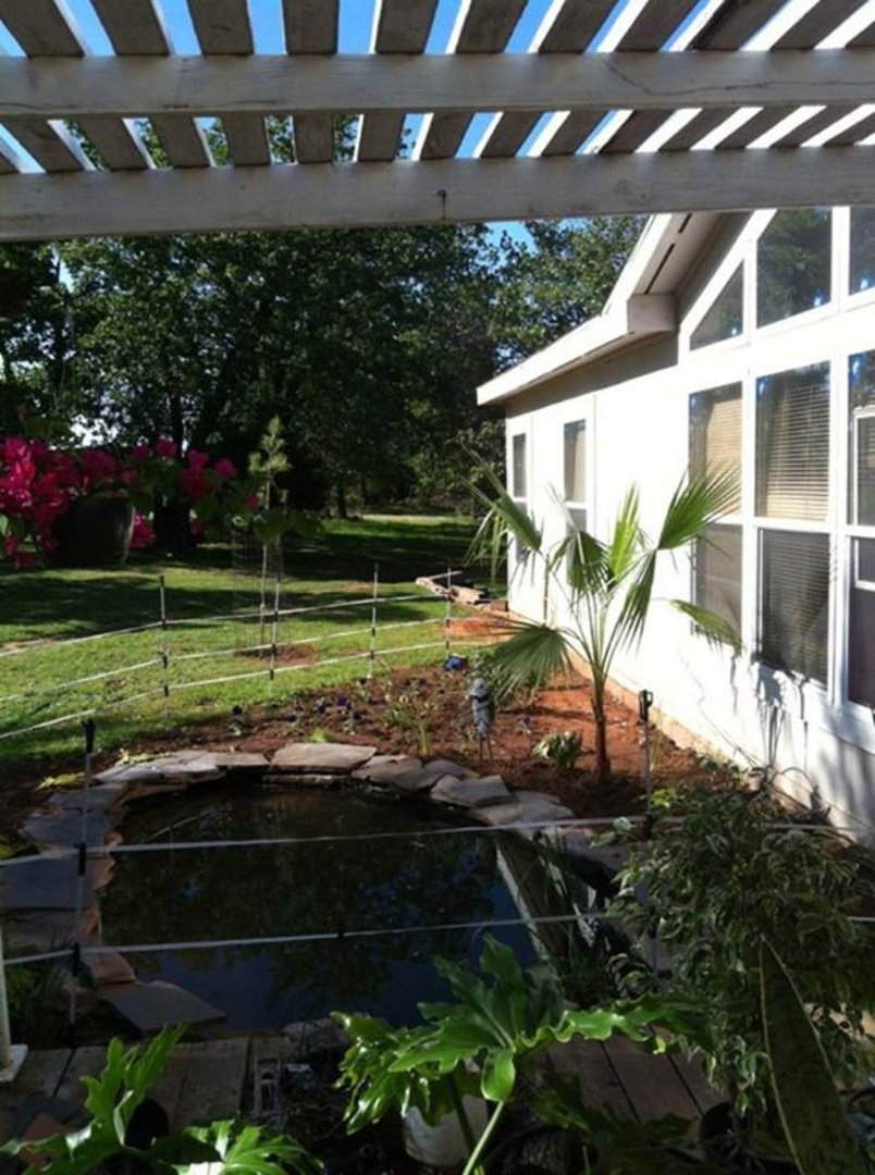 Carol Garren's album, Mobile Uploads