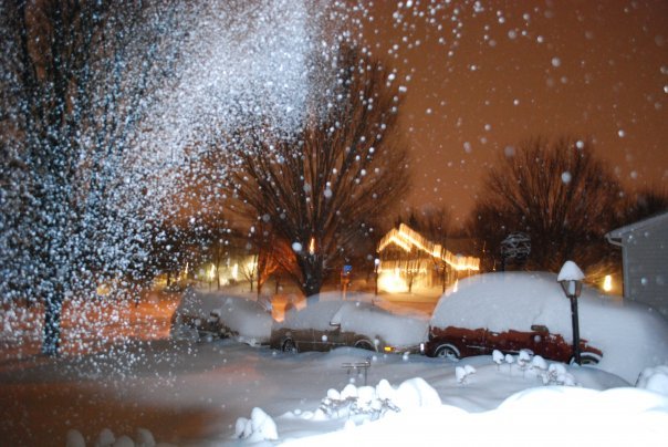 Donna Greenwald's album, winter wonderland