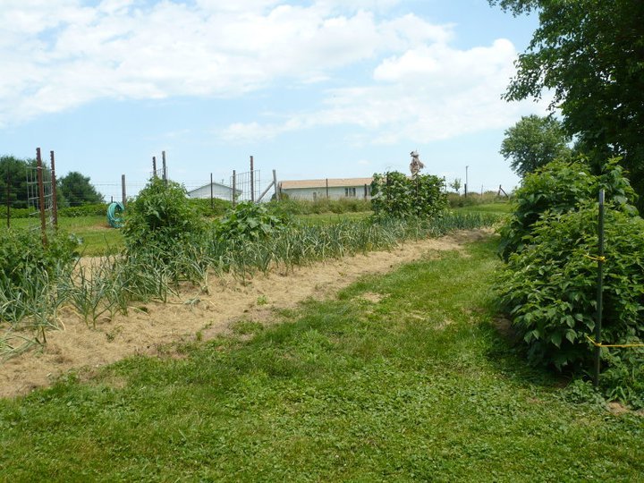 Vern Barry's album, July 2, 2011