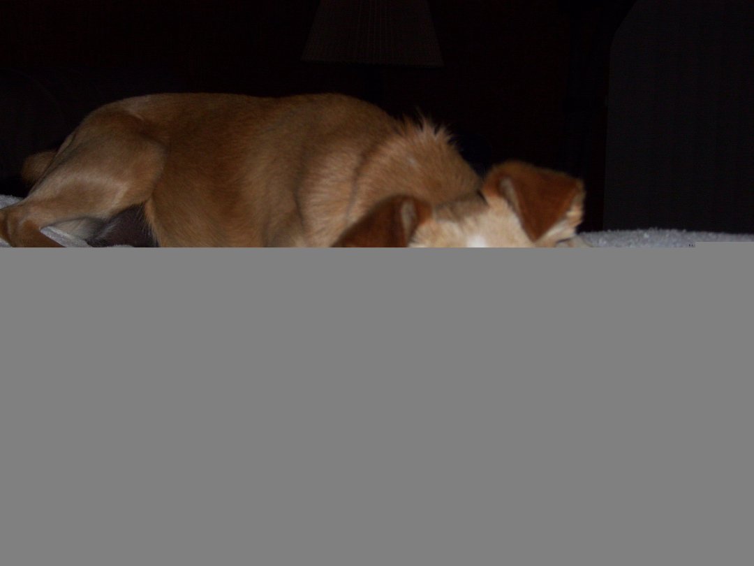 Barbara Spangler's album, Profile Pictures