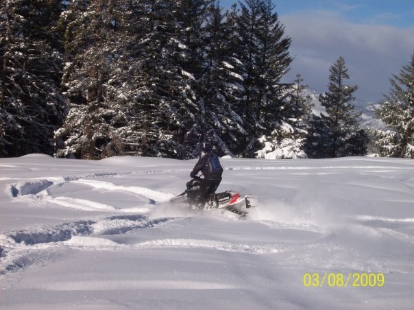 Steve Haney's album, Got Snow