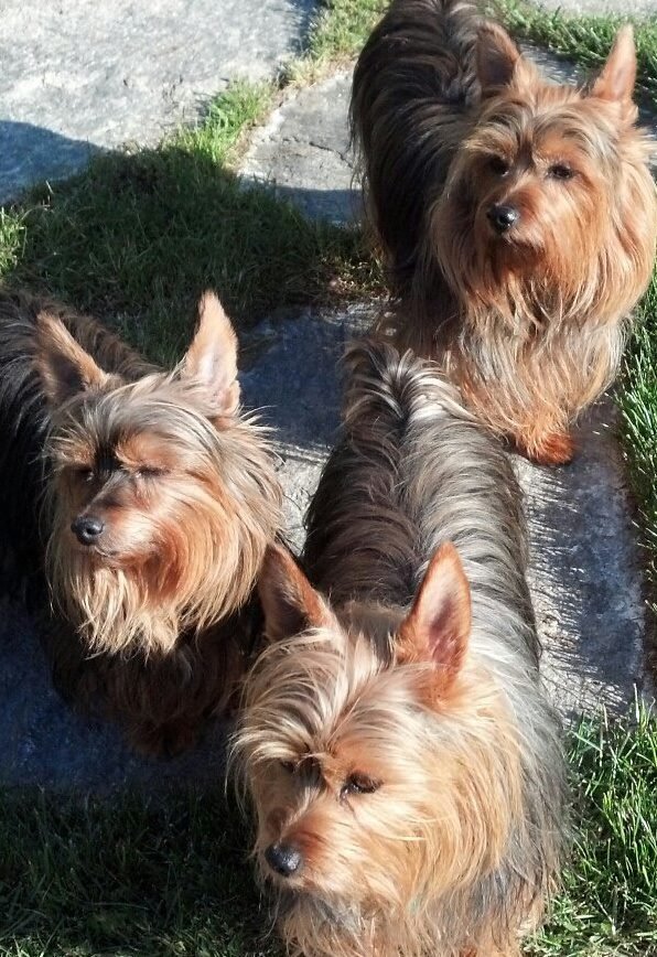 Kathy Batten's album, Profile Pictures