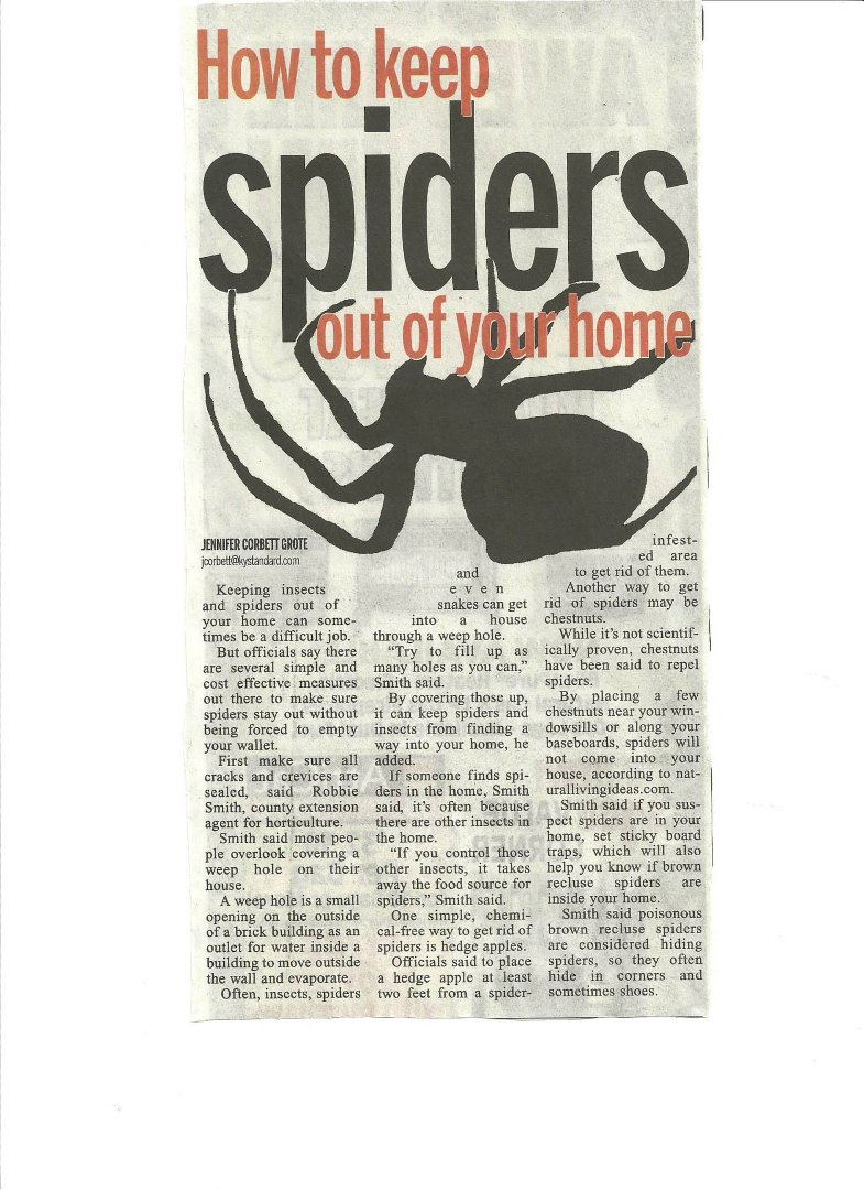 Patsy Rector's album, How to keep Spiders out of your home