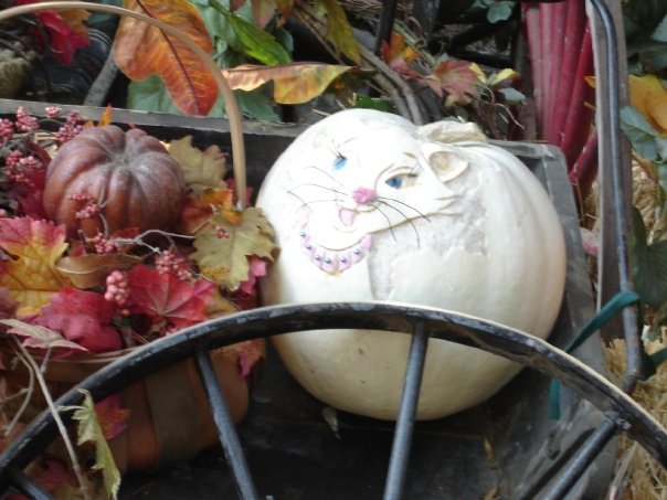 Elizabeth Harris' album, Halloween at Disneyland