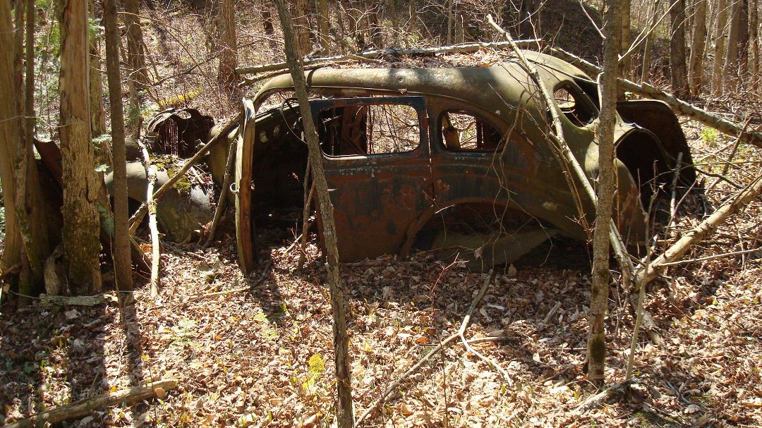 Chris Cunningham's album, 'Rustic' Scenes on a Recent Hike