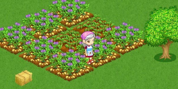 Ina Butler's album, (Lil) Farm Life Photos