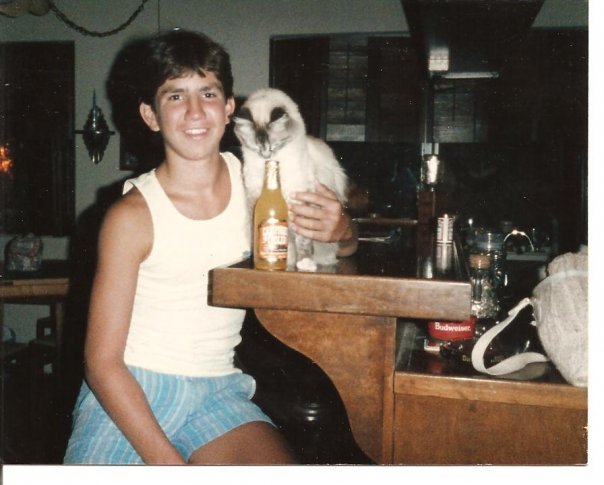 Collin Bassi's album, HIGH SCHOOL