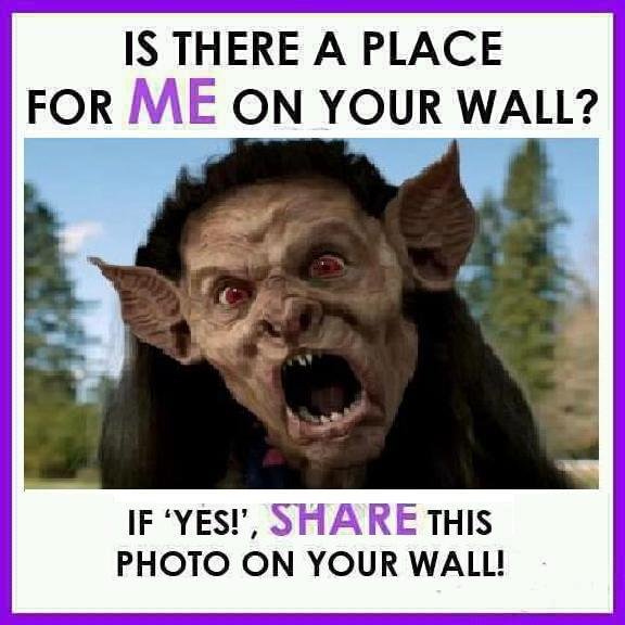 Stan Budz's album, Timeline Photos