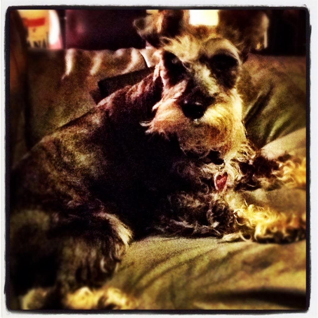 Toni Bogart-syvrud's album, iOS Photos