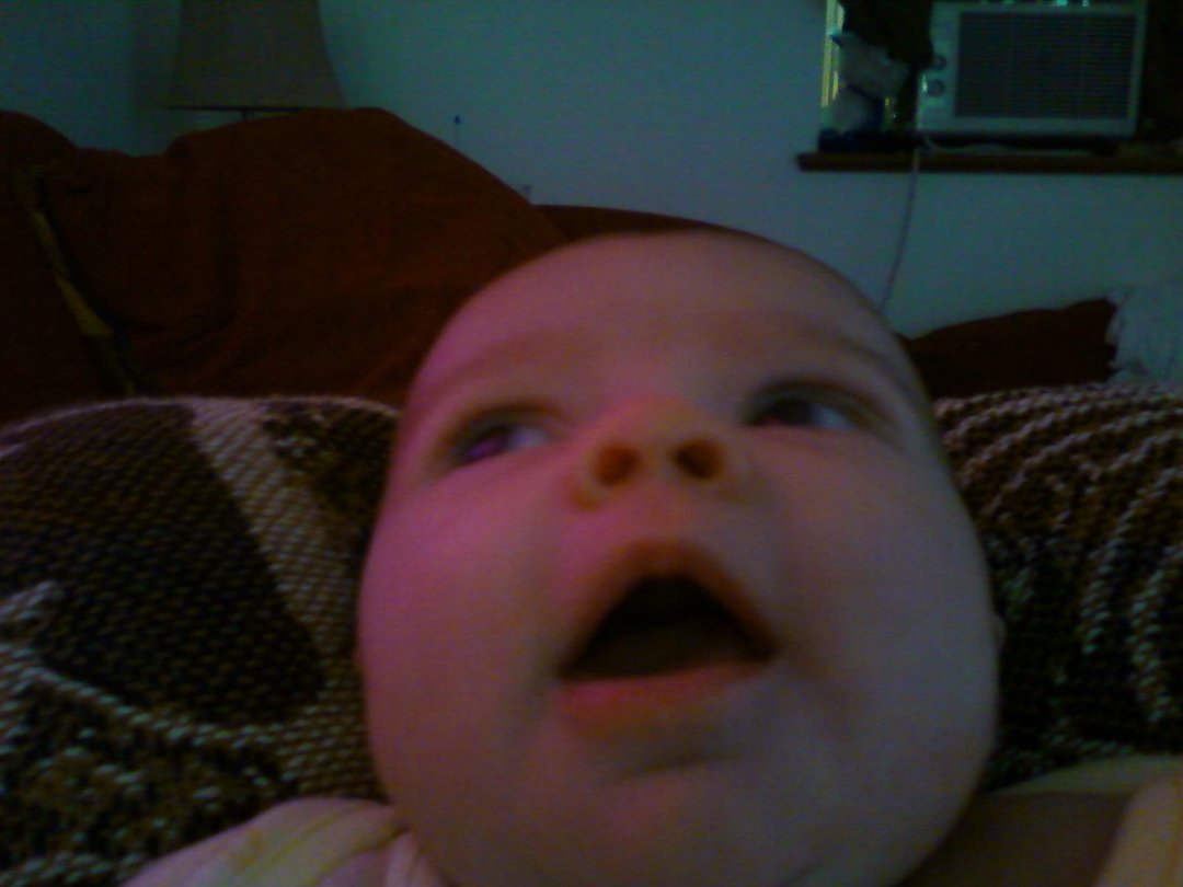 Amber Johnson's album, Mobile Uploads