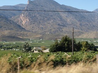 Tony Crotinger's album, Trip to Oudsthoorn