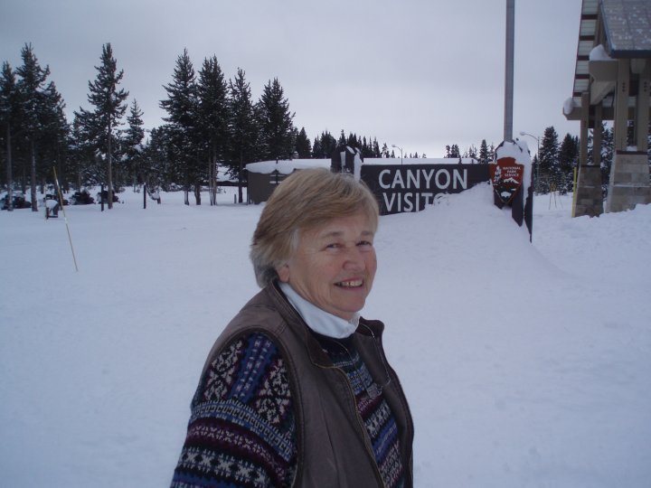 Nancy Bradley's album, Profile Pictures