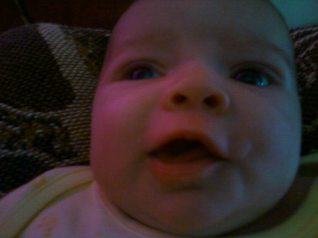 Amber Johnson's album, Mobile Uploads