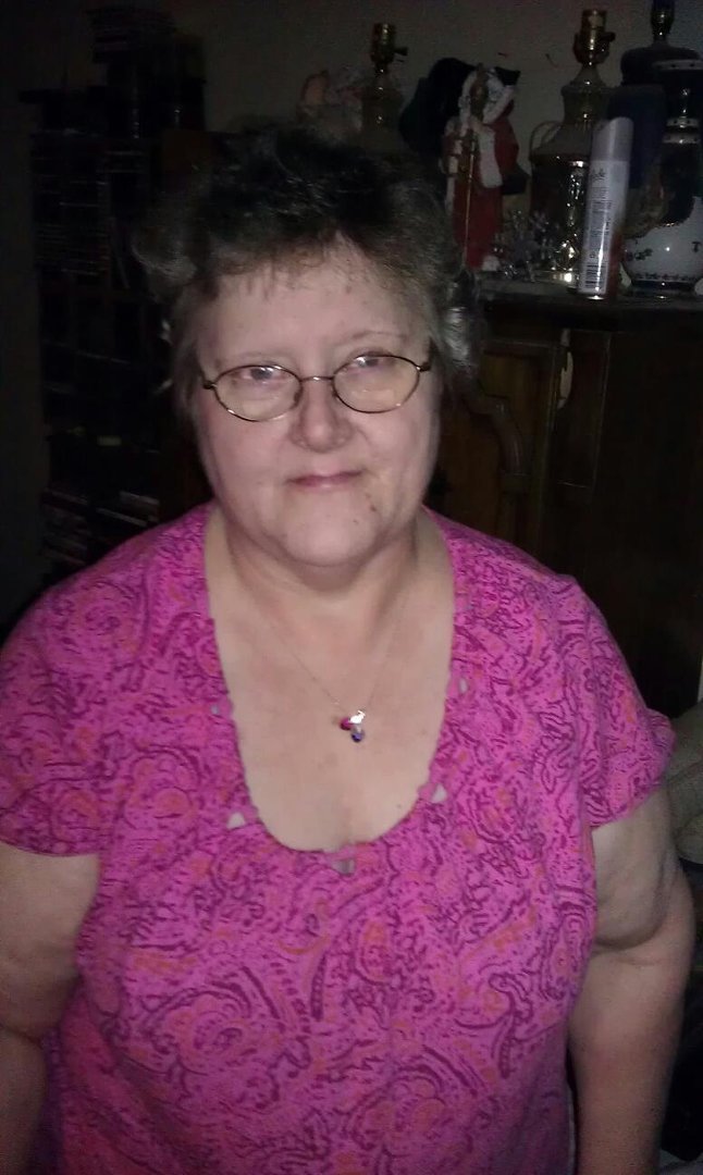 Donna Sylvester's album, Mobile Uploads