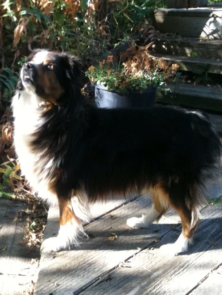 Don Simonsen's album, iOS Photos