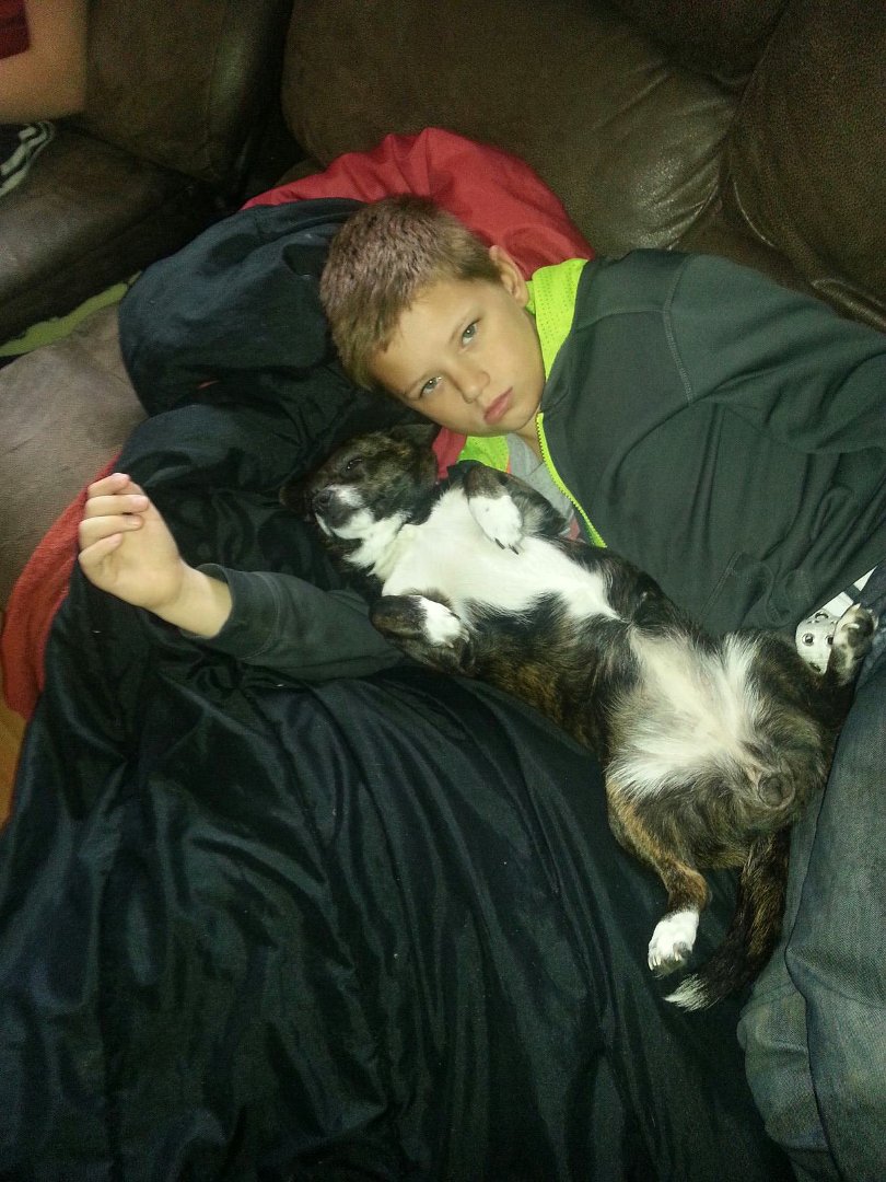 Mark Altom's album, Mobile Uploads