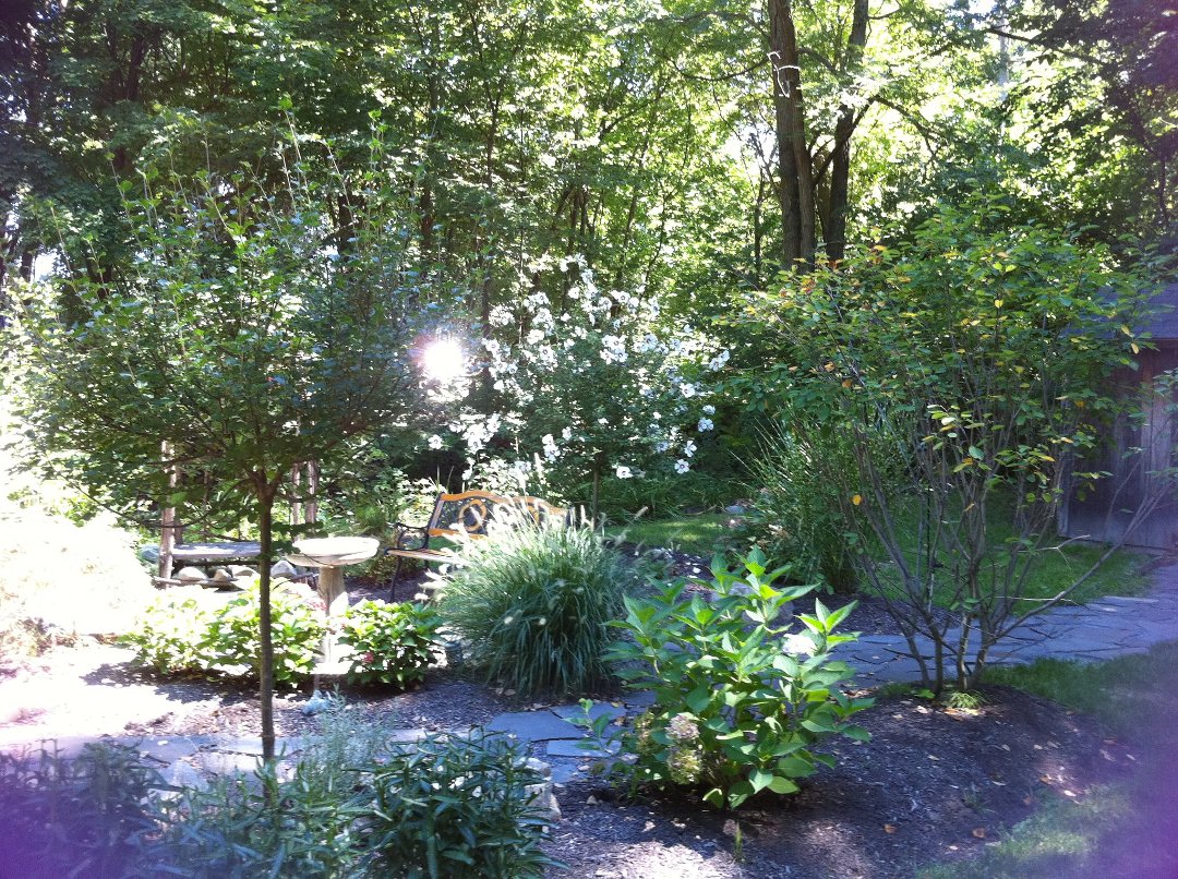 David Grapka's album, Timeline Photos