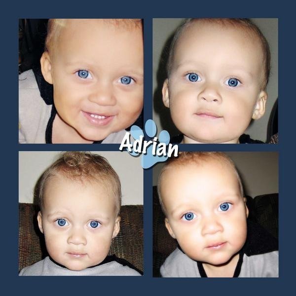 Dave Ryan's album, fam