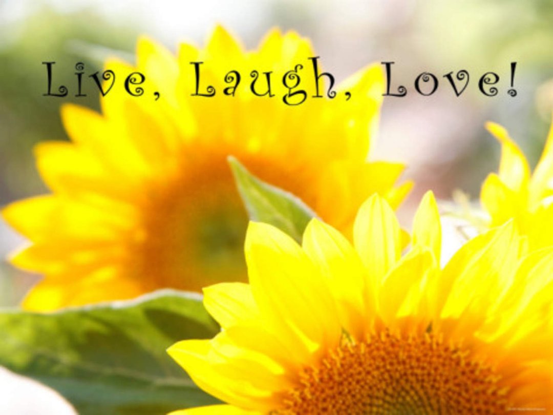 Lori Sullivan-Fordham's album, Cover Photos