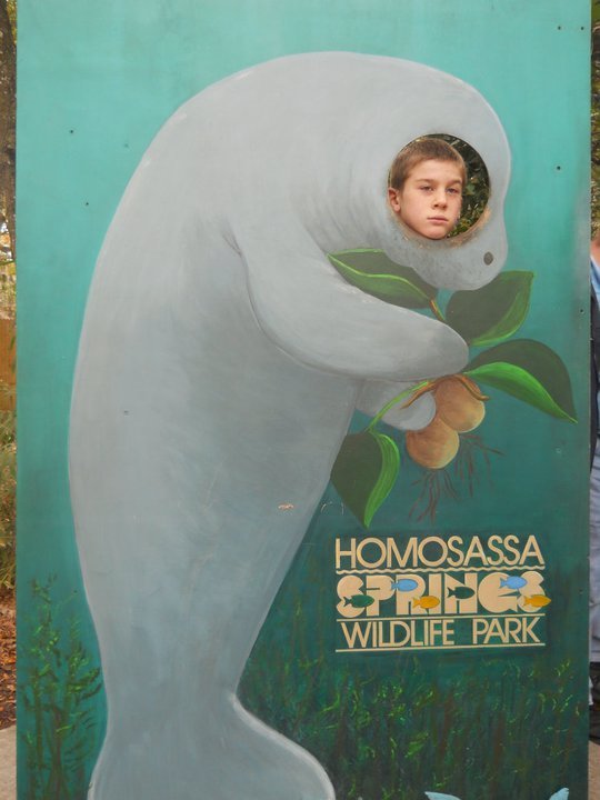 jerri burdo's album, visiting the manatees