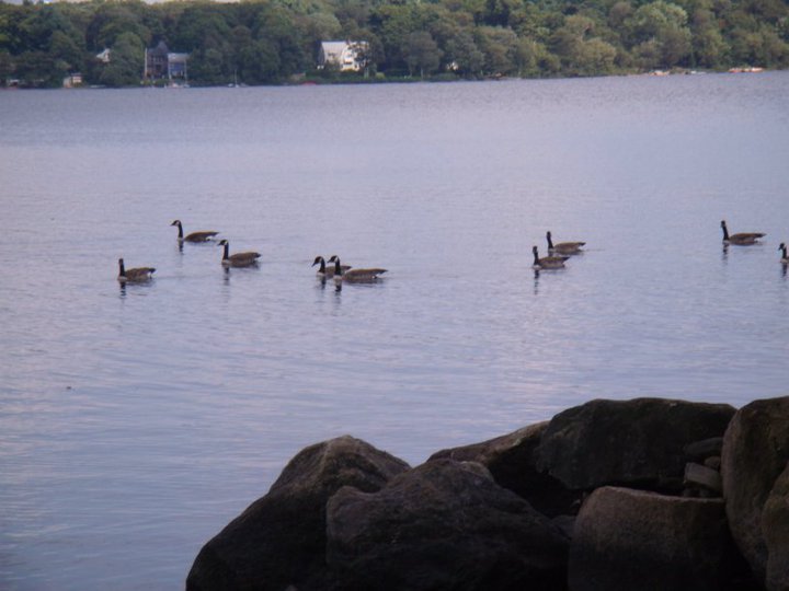 Liola Rogers' album, Vacation-Mass. 9-2010