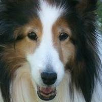 Ginger Wright's album, Profile Pictures