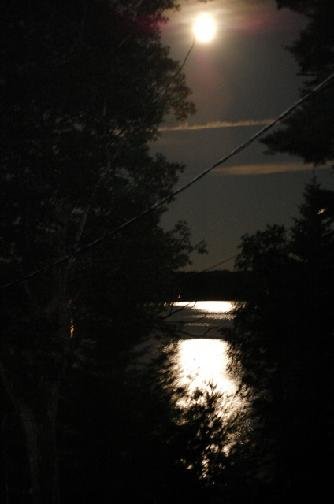 David Meserve's album, The View from "Camp Dave"