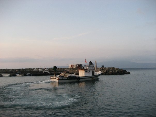 Michael Fryd's album, Turkey